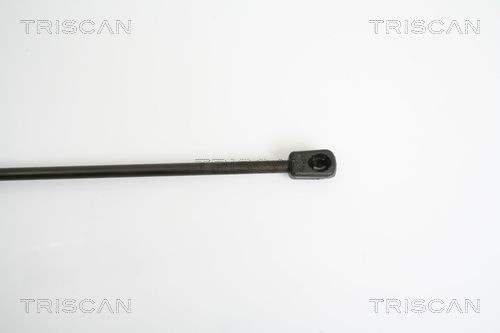 Muelle neumatico maletero Mercedes B 
