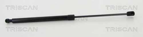Muelle neumatico maletero Fiat/Alfa/Lancia 51800638