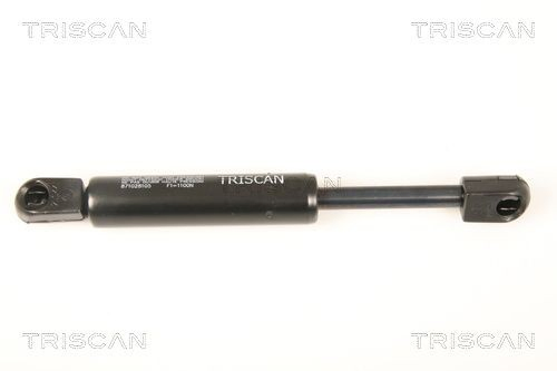  Amortiguador de capó Peugeot 406 
