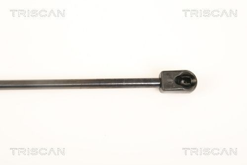  Amortiguador de capó Volkswagen Passat 