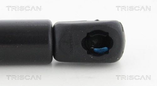 Comprar Amortiguador maletero Volkswagen Passat B7 365