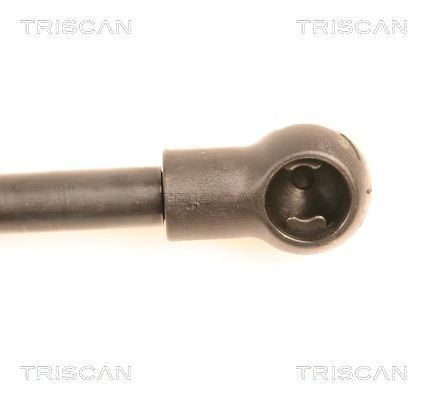 Amortiguador de maletero Audi A4 Avant B6 familiar (8E5) (2000 - 2005) precio, desde 13,39 EUR