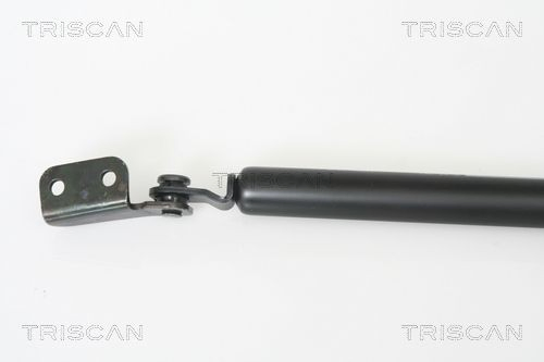 Muelle neumatico maletero Hyundai Terracan 