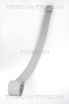 Comprar Ballesta de suspensión trasera Volkswagen Crafter 30-50 2F, 2FC, 2FF, 2FG,2FL, 2FM