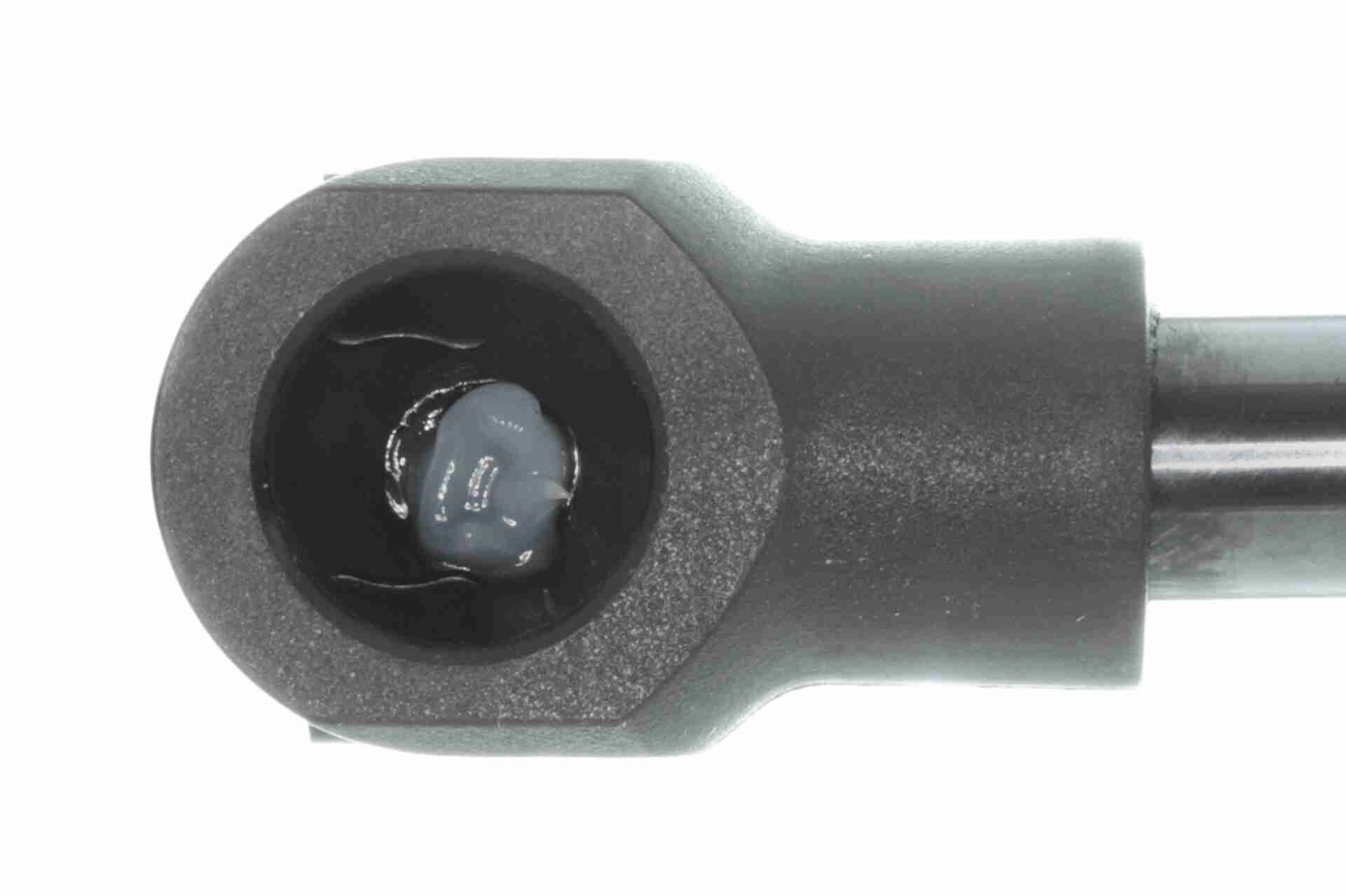 Amortiguador maletero V421134 VEMO/Vaico