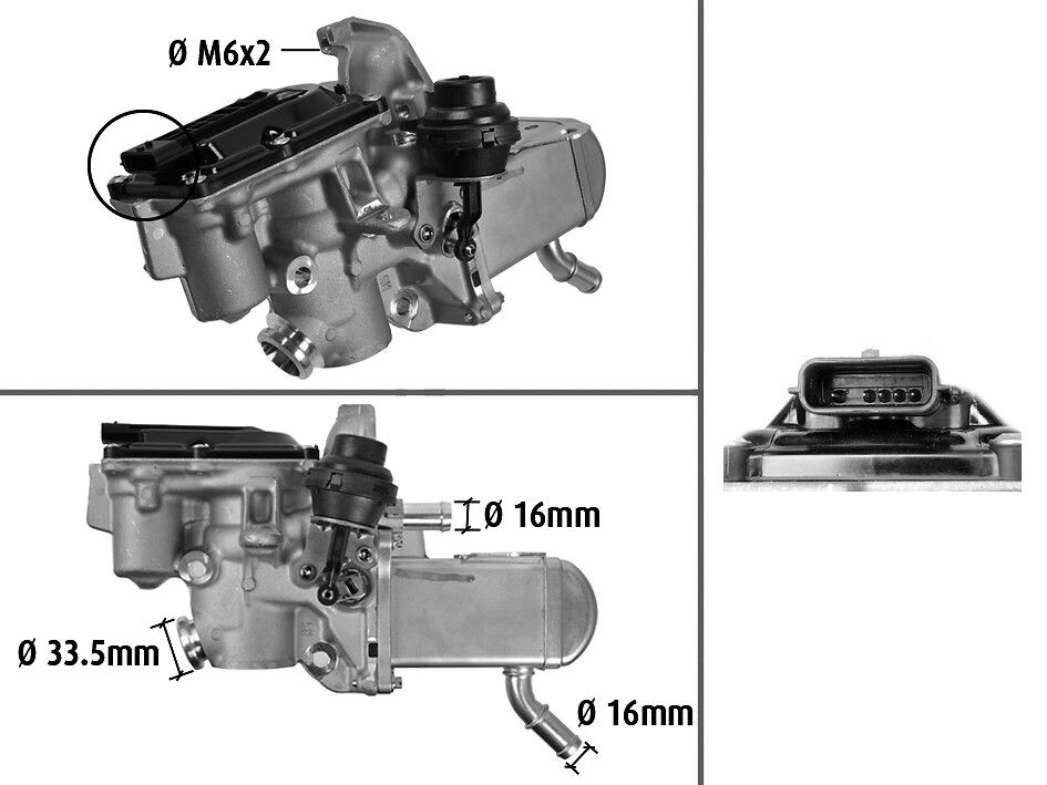 EGR Lucas LEV0276