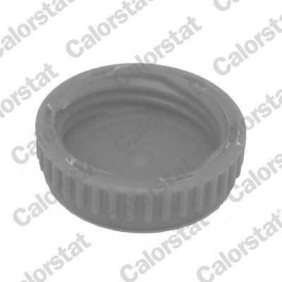 Comprar Tapa radiador Nissan Primera  P12
