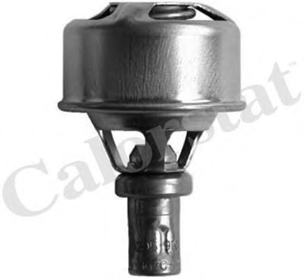 TH449583 Vernet Termostato de agua