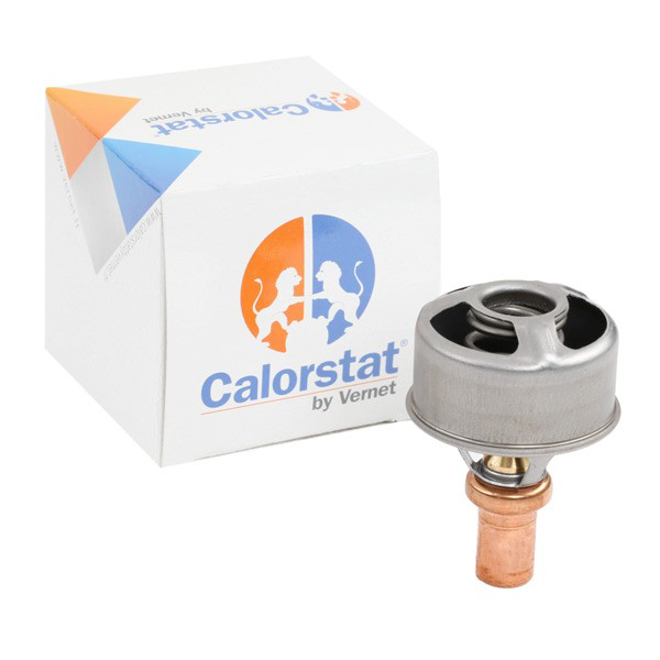 TH449589 Vernet Termostato de agua