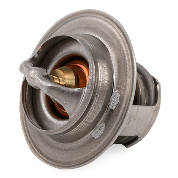 Comprar TH489892J Vernet Termostato