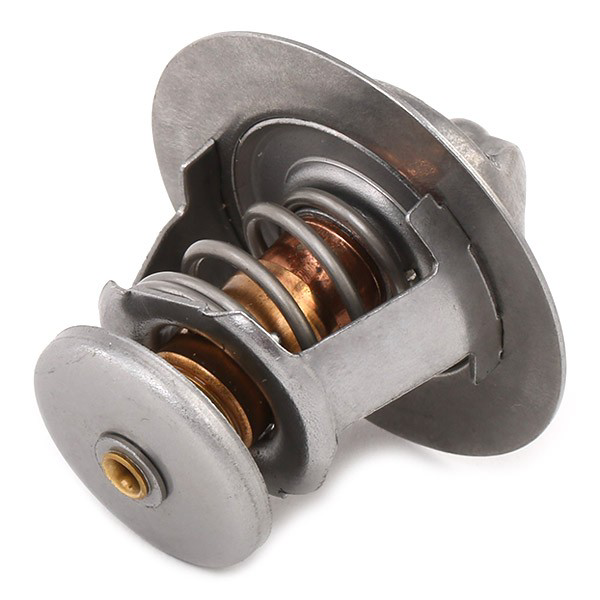 Termostato TH507788J Vernet