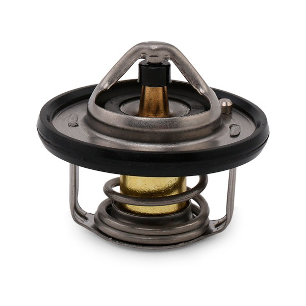 TH694982J Vernet Termostato de agua