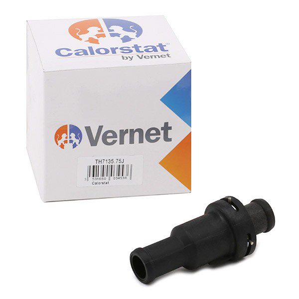 Termostato auxiliar TH713575J Vernet