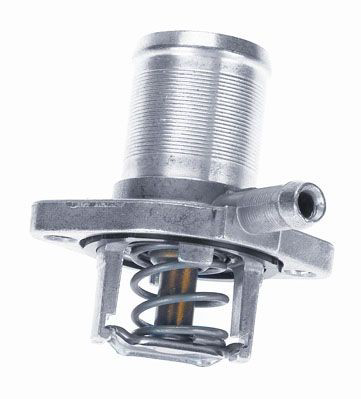 317489D Wahler