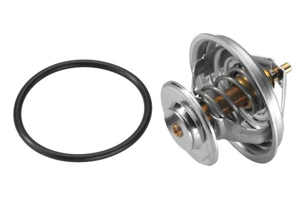 Comprar 04224847 Deutz Termostato