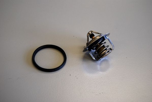 Termostato refrigerante para Nissan JUKE  (F15E)