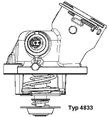 4833100D Wahler Termostato de agua