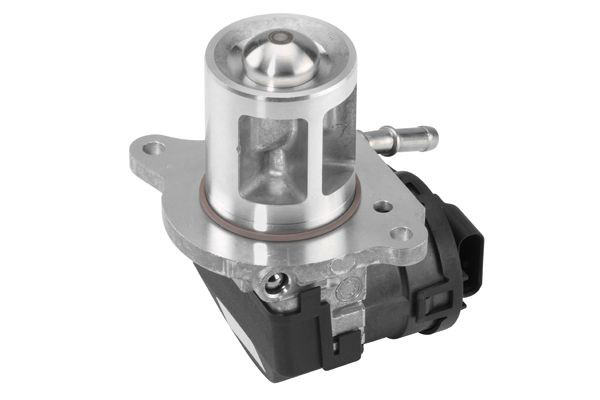 710095D Wahler Válvula EGR