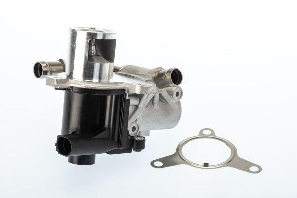Comprar Válvula EGR Renault Scenic III JZ0, JZ1