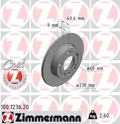 100123620 Zimmermann Freno de disco trasero