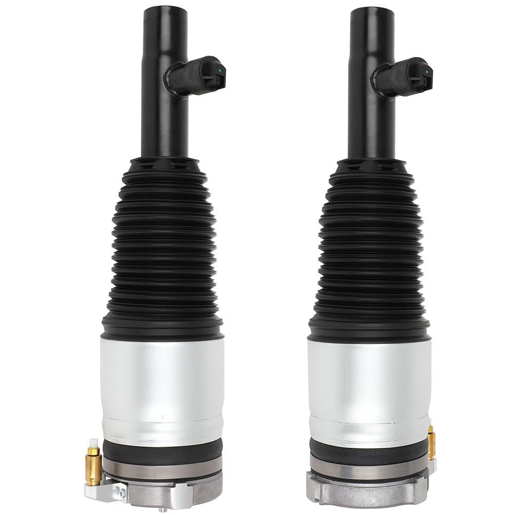 17525 ABS Freno de disco trasero