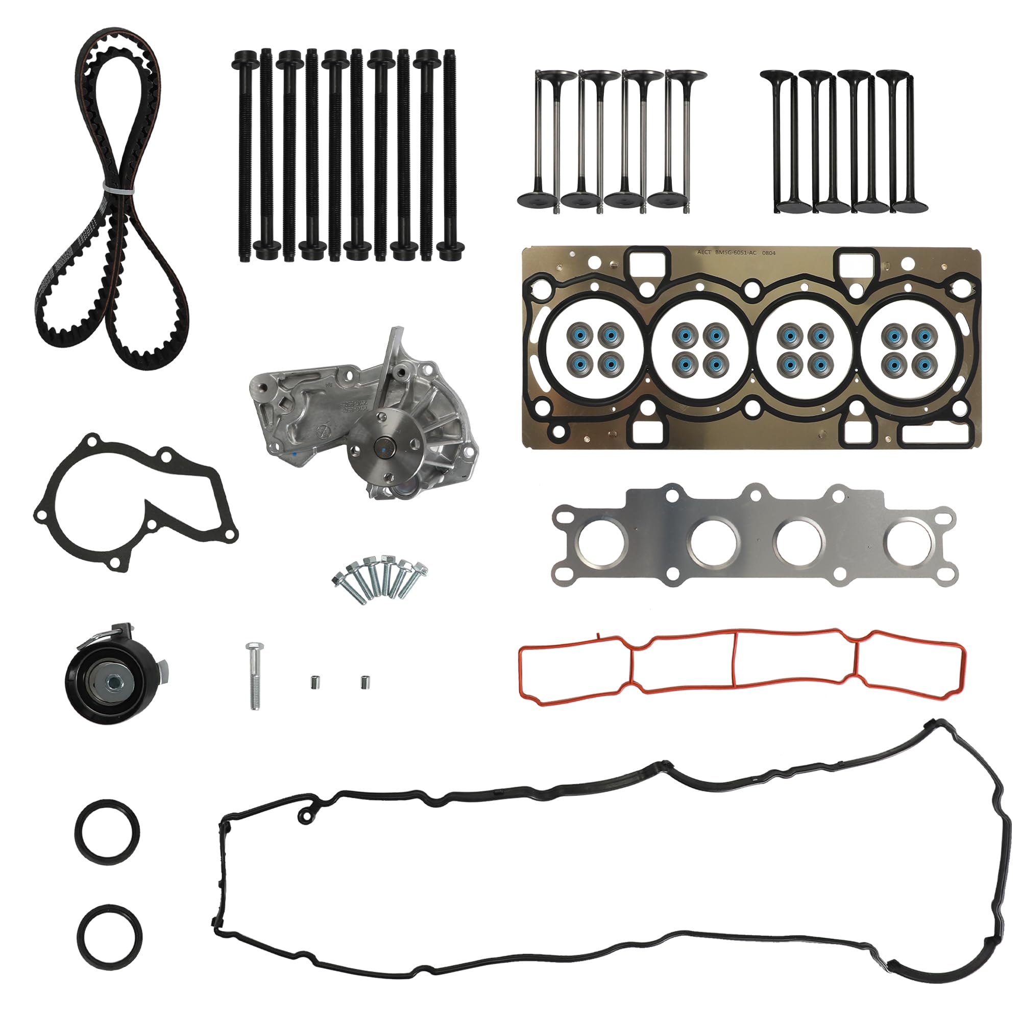 Correa distribución para Ford Fiesta JAS, JBS