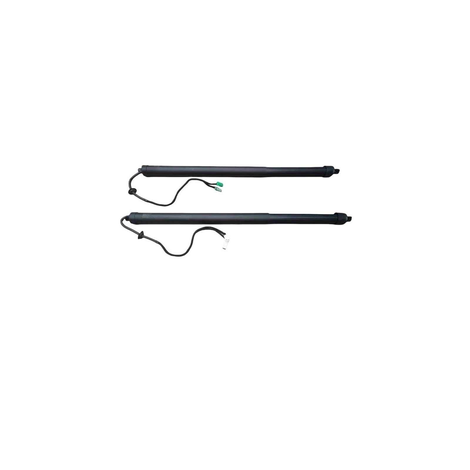 1356887781 Daihatsu Correa dentada