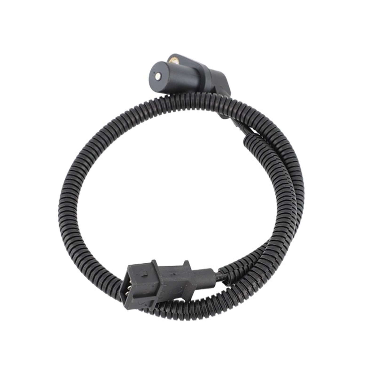Sensor ckp Iveco Daily III ()