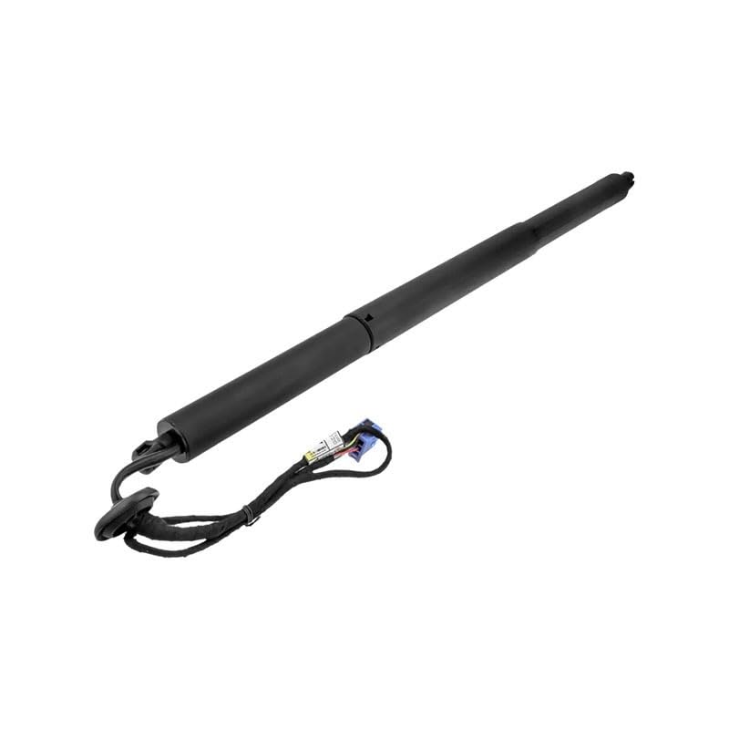 Amortiguador maletero V30550006 Vemo