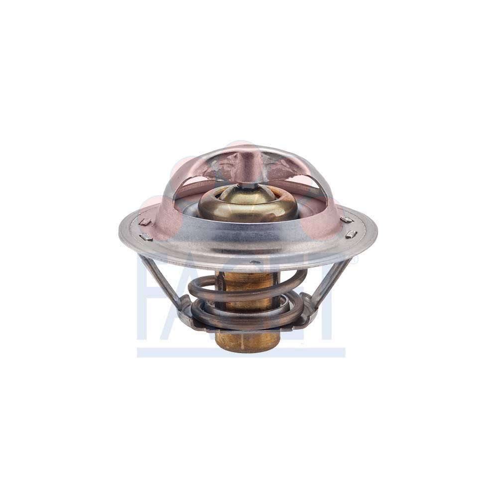 Termostato 7701068773 RENAULT