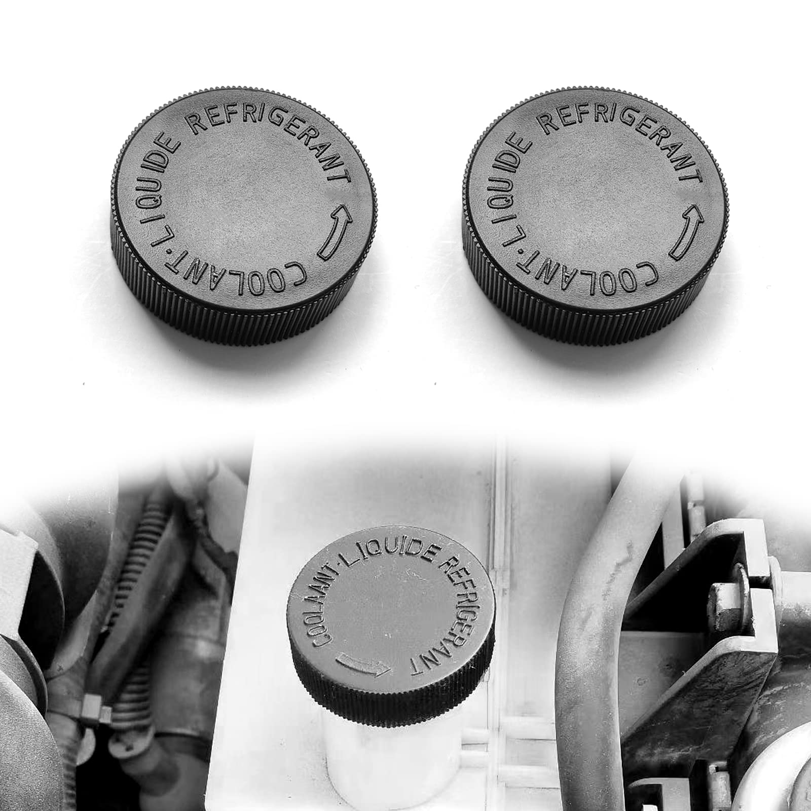 2171279900 Renault (RVI)