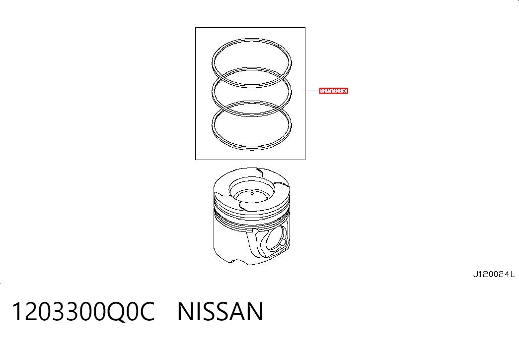 1203300Q0C Nissan/Infiniti