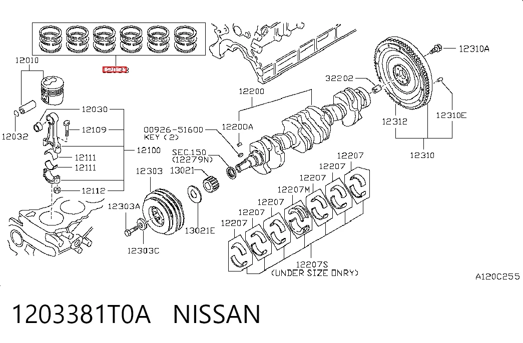 1203381T0A Nissan/Infiniti