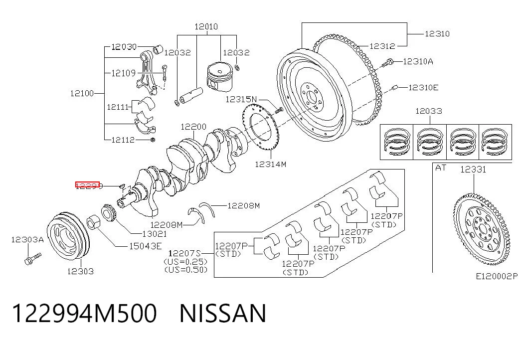 122994M500 Nissan/Infiniti