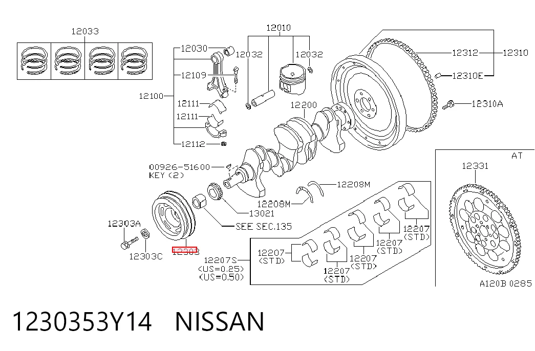 1230353Y14 Nissan/Infiniti
