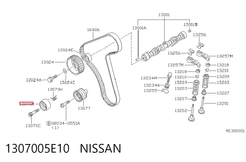 1307005E10 Nissan/Infiniti