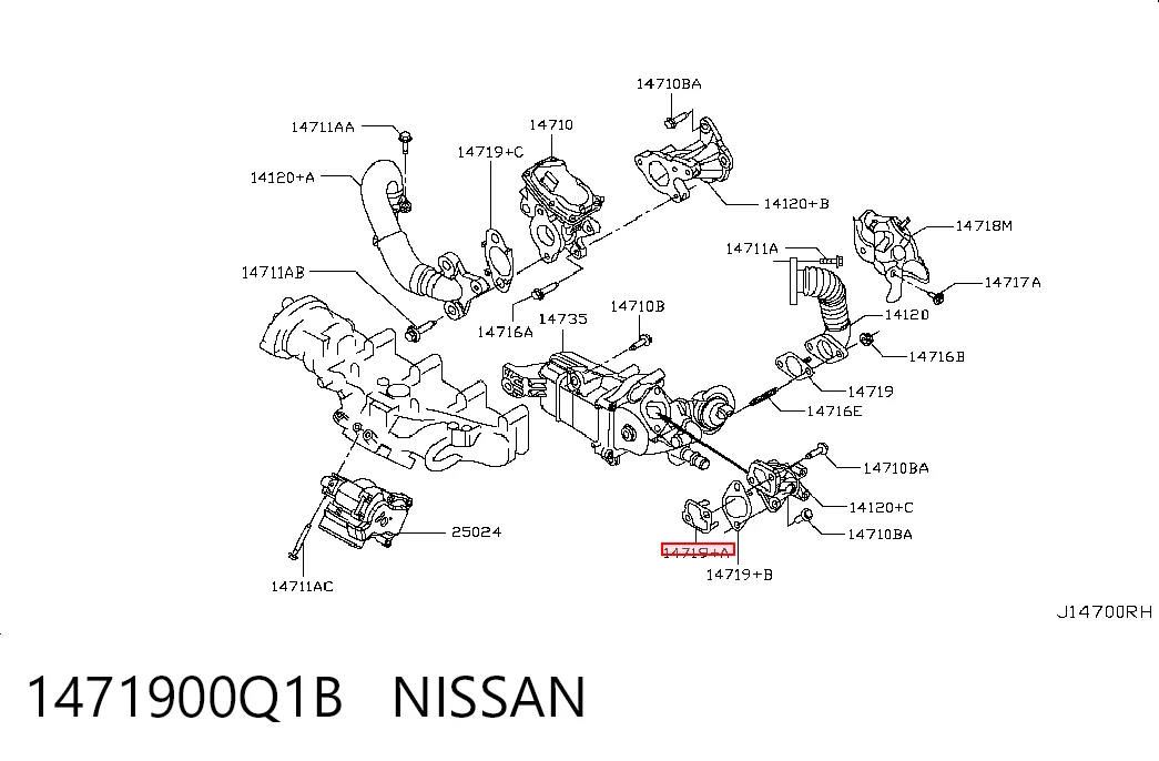 1471900Q1B Nissan/Infiniti