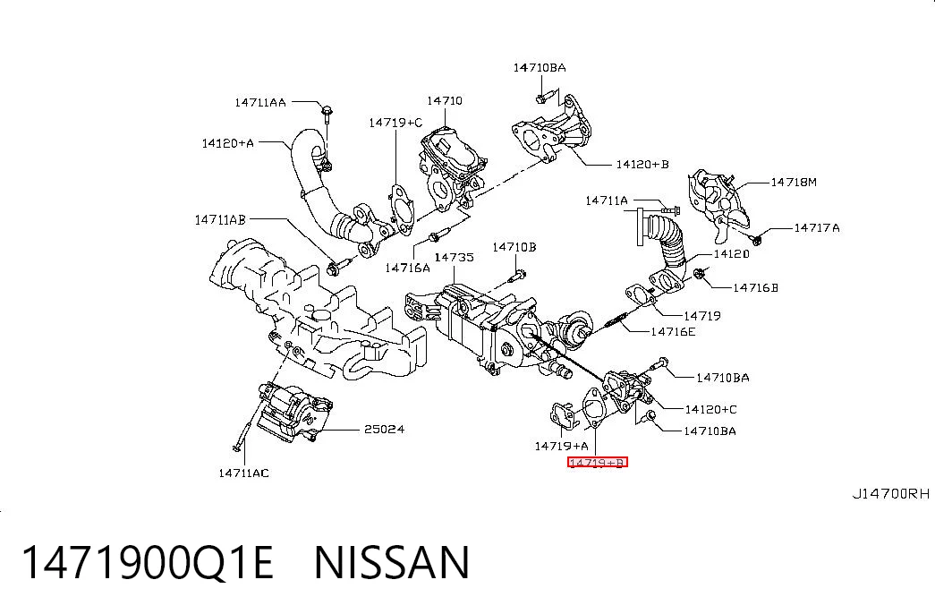 1471900Q1E Nissan/Infiniti