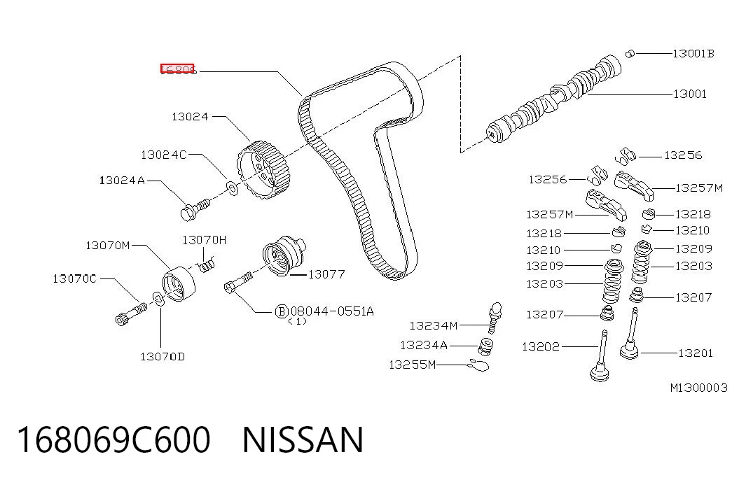 Correa distribución A544RU30MM SUN