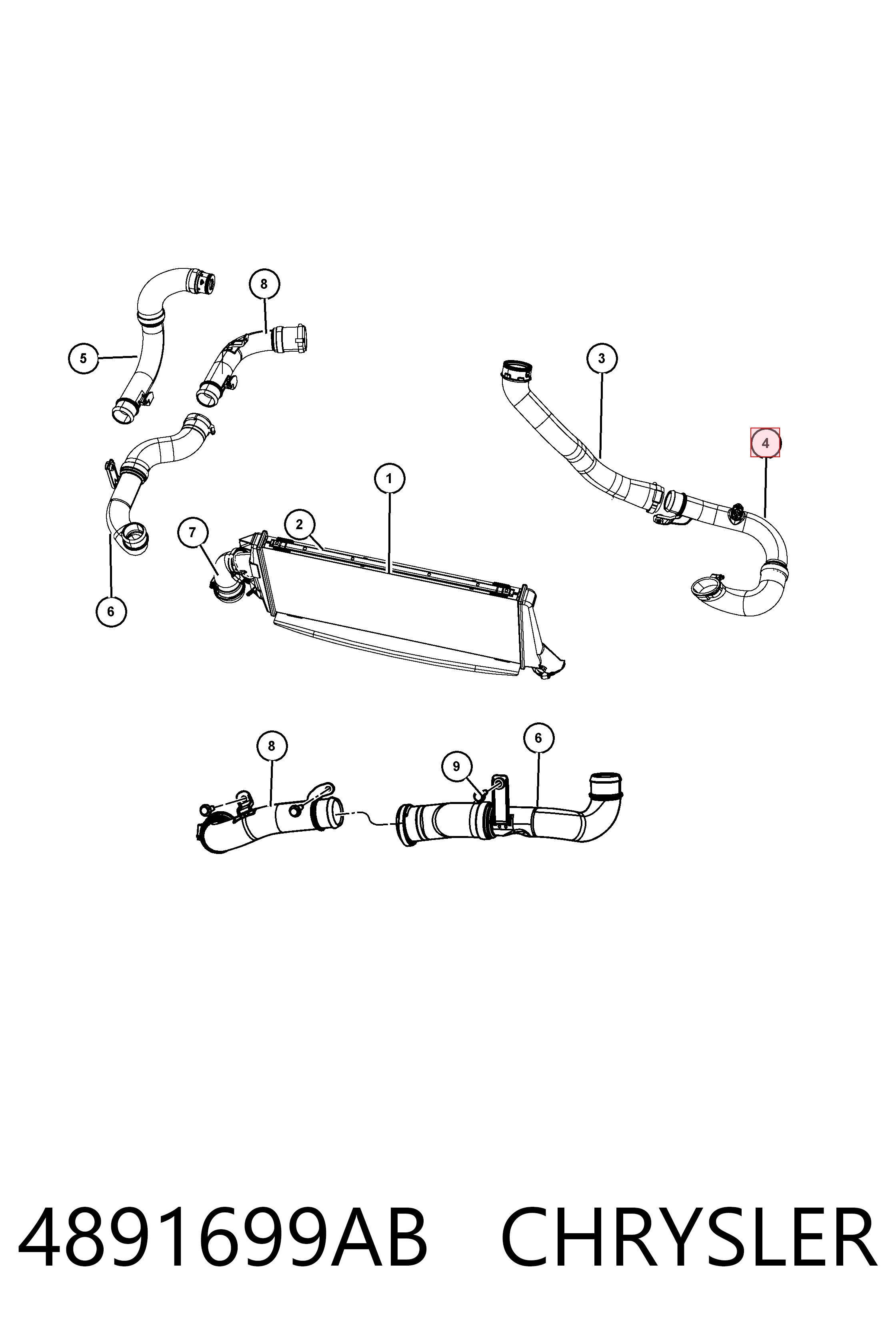 Manguera del intercooler 4891699AB CHRYSLER
