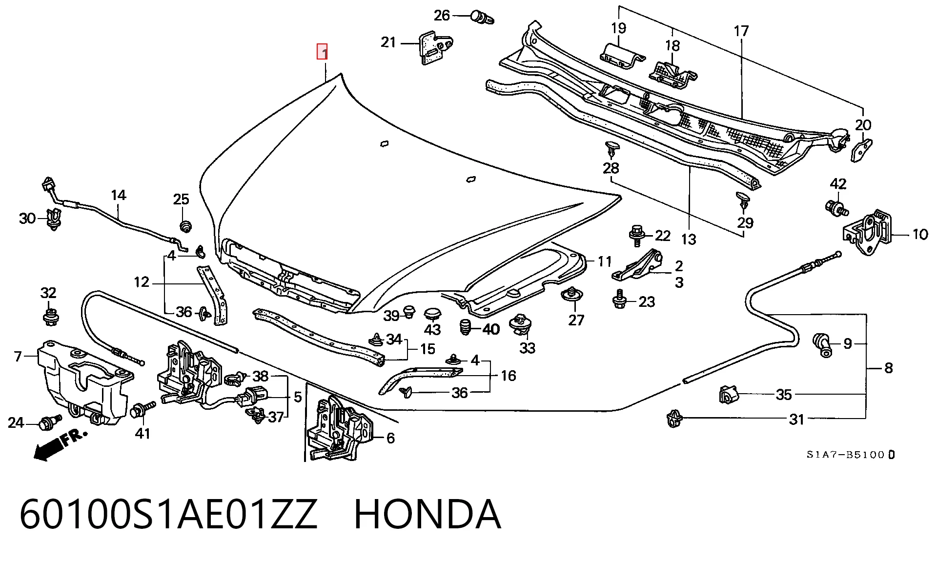 Capó para Honda Accord CG