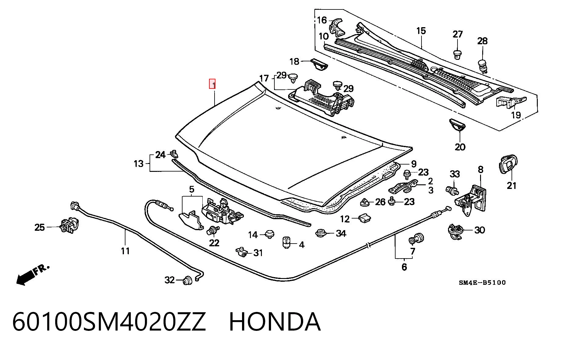 Capó para Honda Accord CB3, CB7