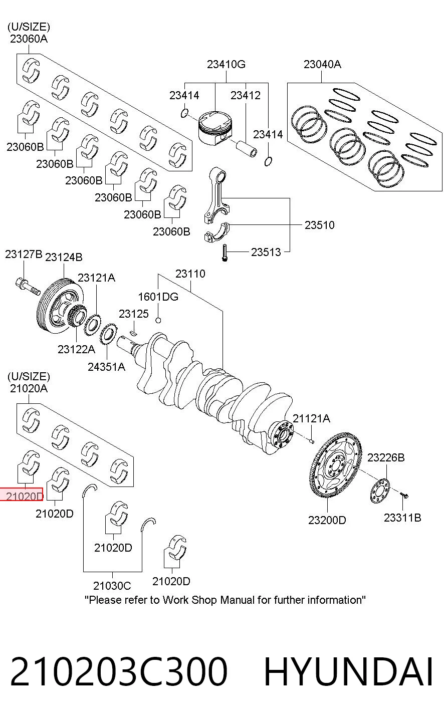 210203C300 Hyundai/Kia Juego de cojinetes de cigüeñal, estándar, STD
