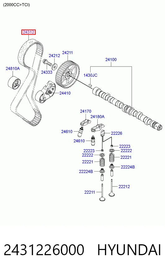 2431226000 Hyundai/Kia Correa dentada