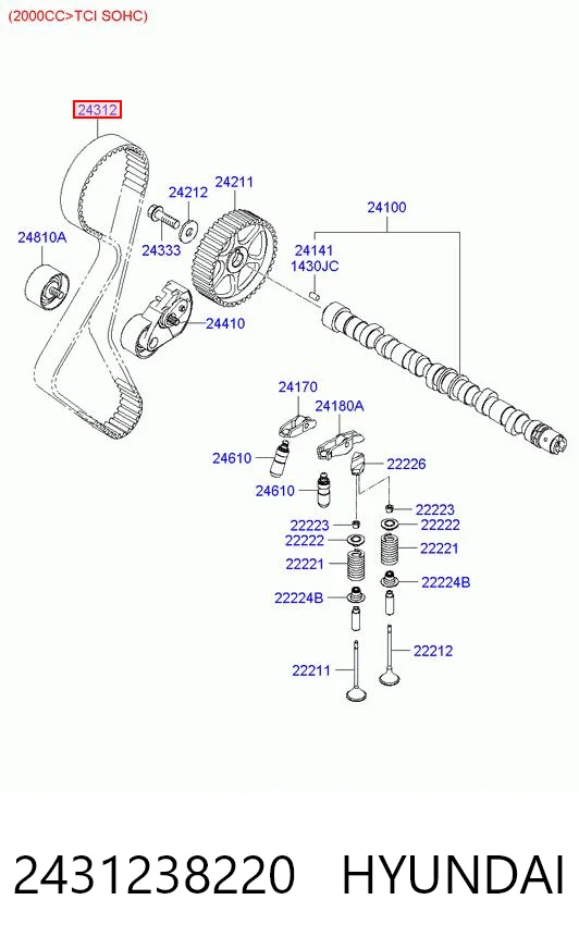 2431238220 Hyundai/Kia Correa dentada