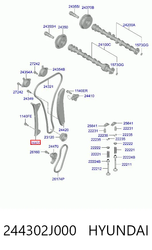 244302J000 Hyundai/Kia Guía izquierda de cadena de distribución