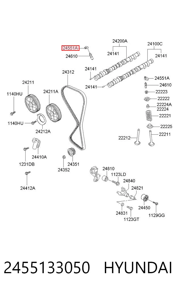 2455133050 Hyundai/Kia Balancín, distribución del motor