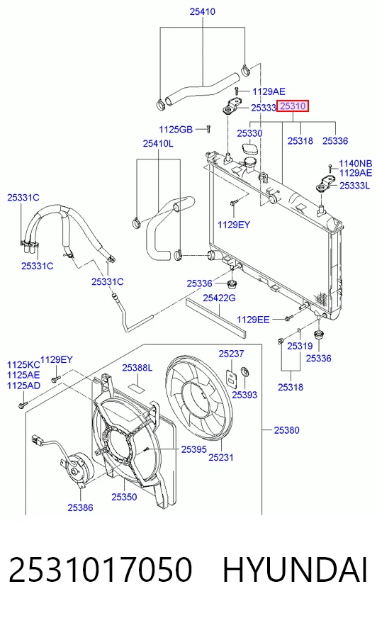 2531017050 Hyundai/Kia