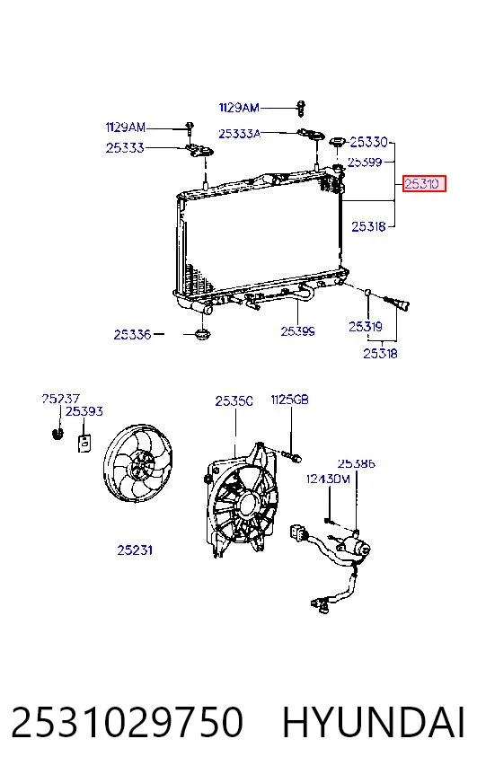 2531029750 Hyundai/Kia
