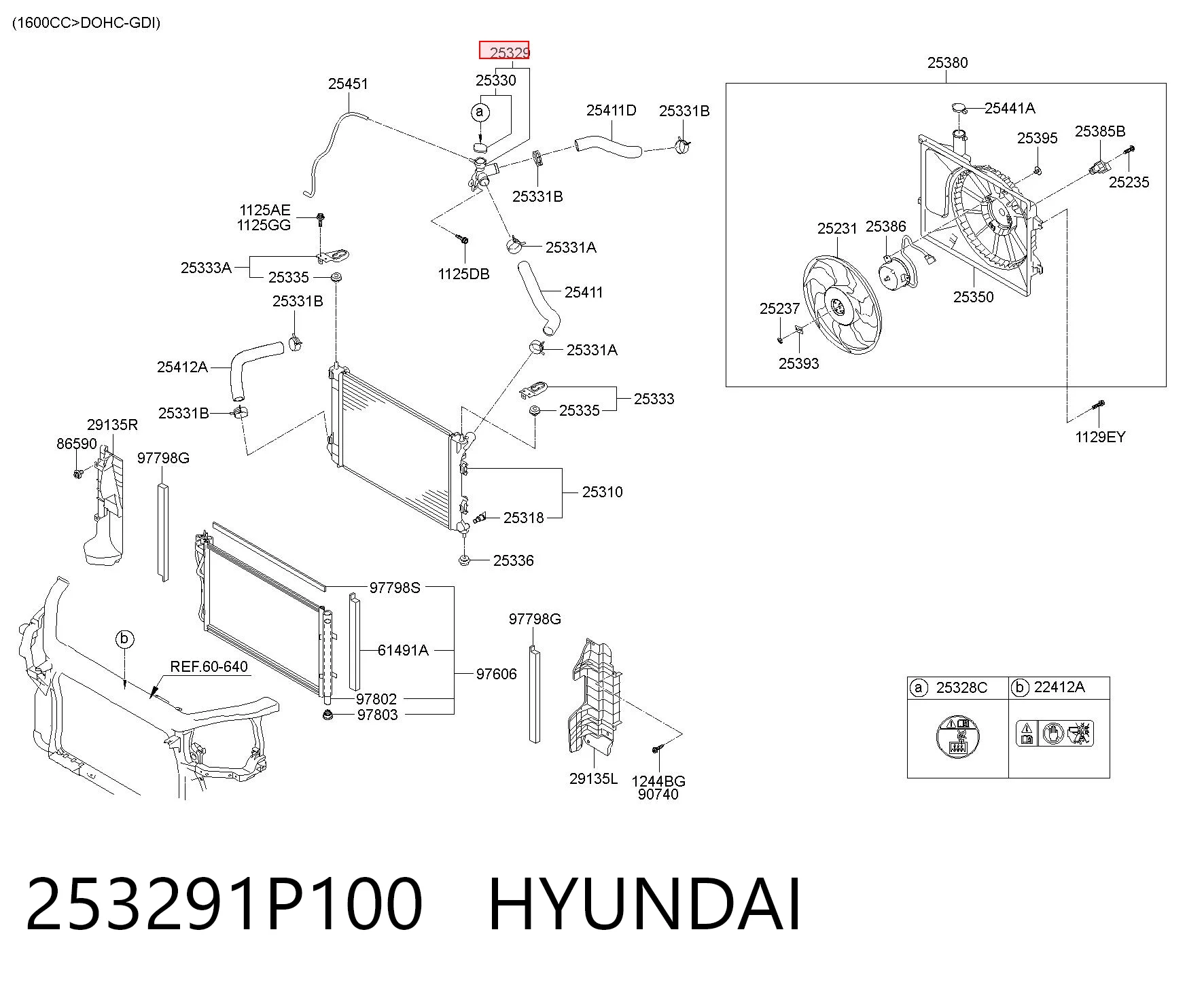 253291P100 Hyundai/Kia Manguera de refrigeración
